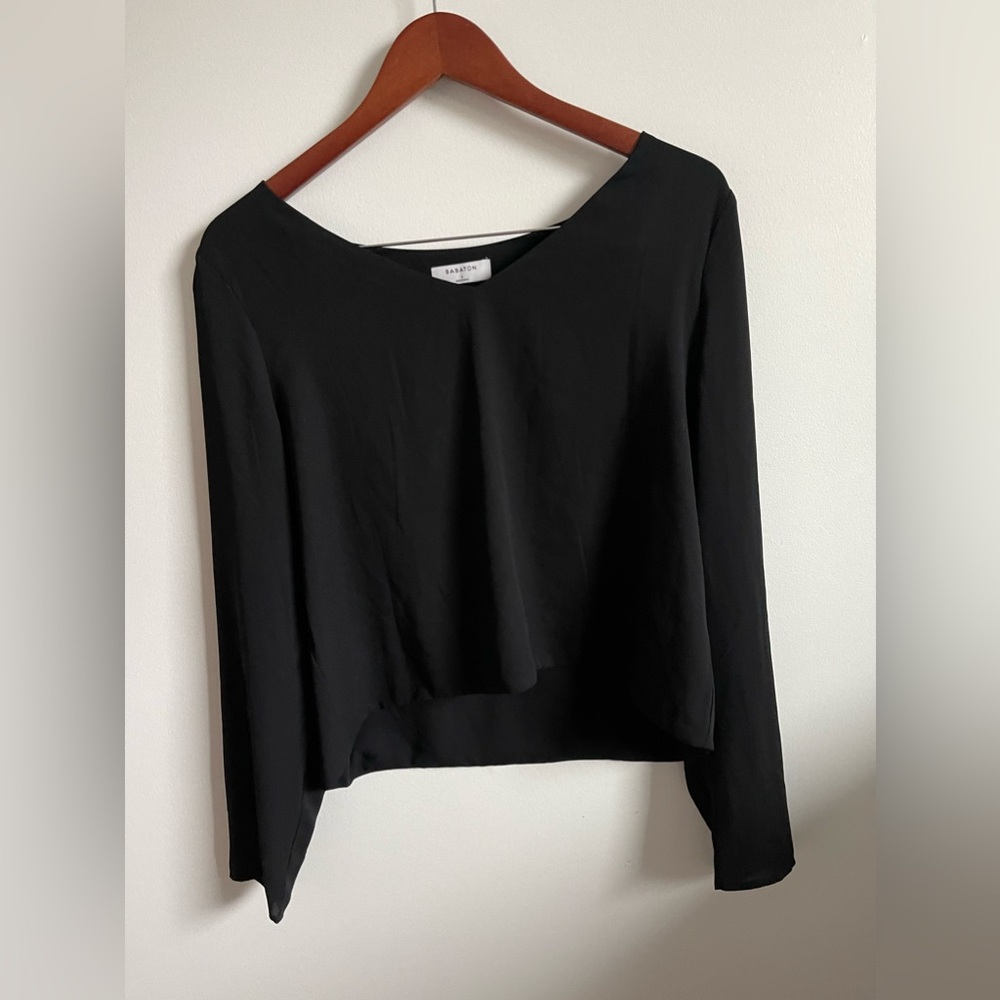 Aritzia Babaton Blouse